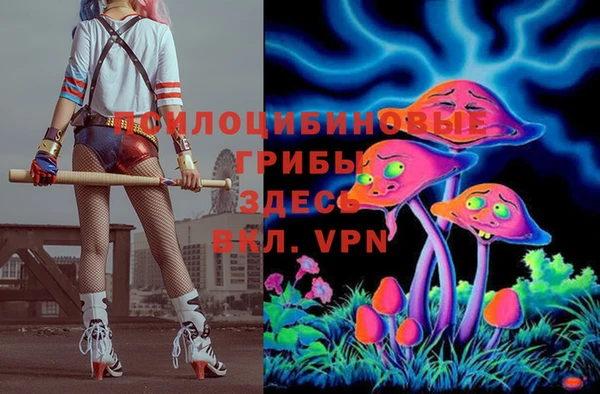 твердый Майский