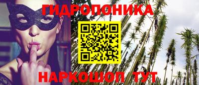 PSILOCYBIN Гай