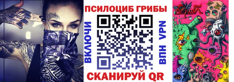Псилоцибиновые грибы мицелий  наркотики  Новокузнецк 