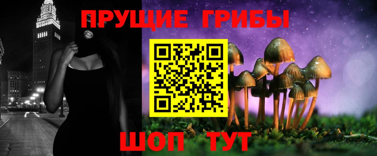 Новокузнецк  Галлюциногенные грибы Psilocybe  Вход с VPN 