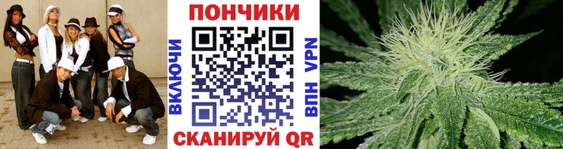 где купить   Новокузнецк  Каннабис индика 